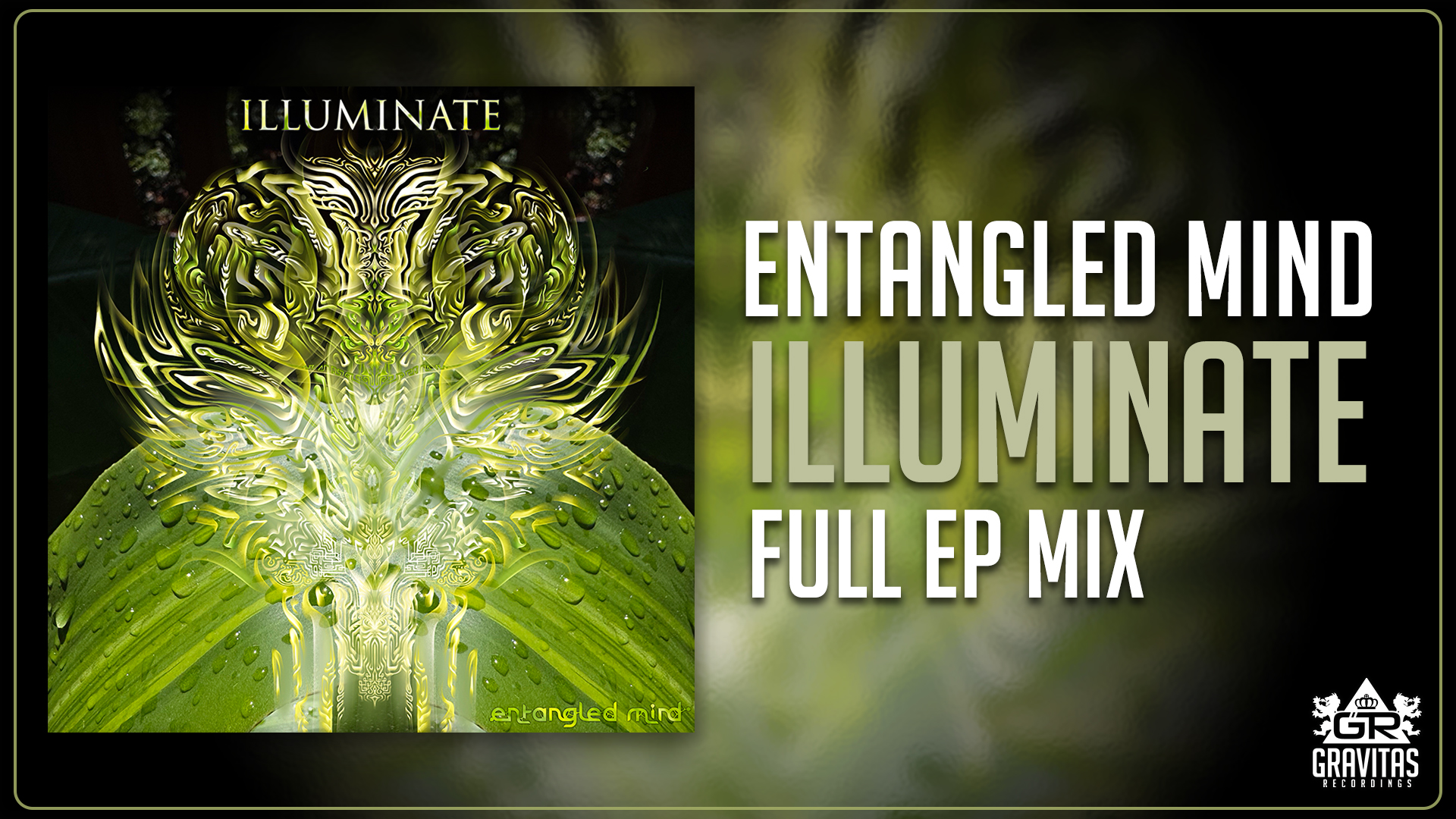 Illuminate | Gravitas Recordings